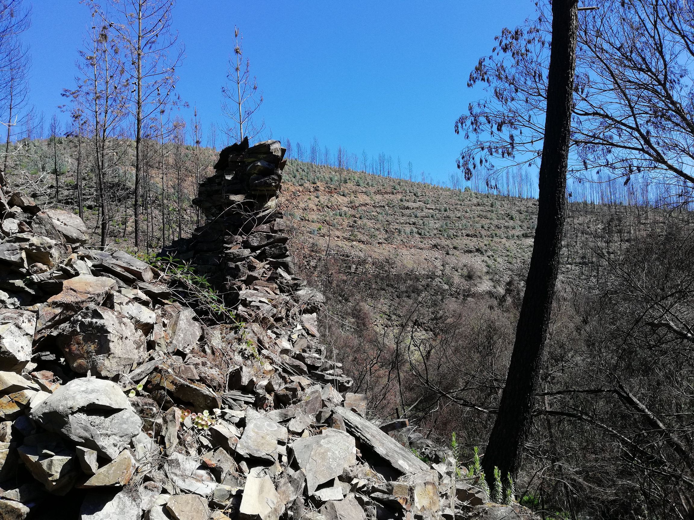 March 2018 noch eine Ruine